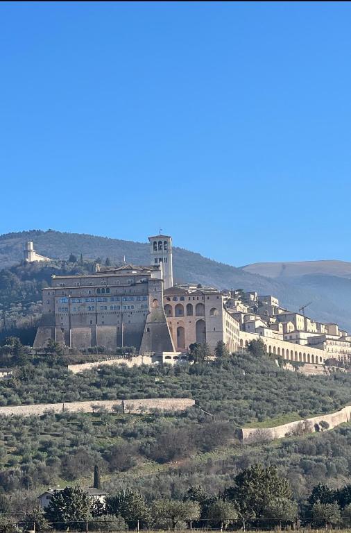 Assisi, la Noce - 1