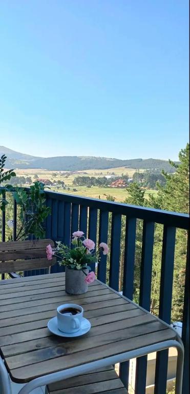 Apartman Panorama Tornik free SPA - 4