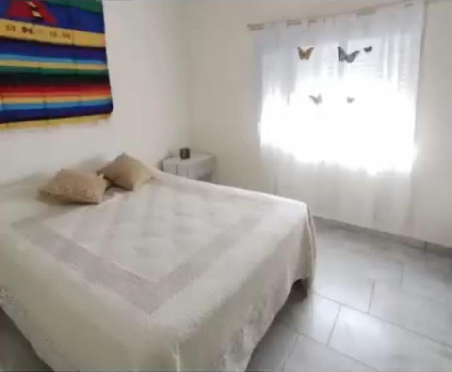 Doradas del Sur - 2