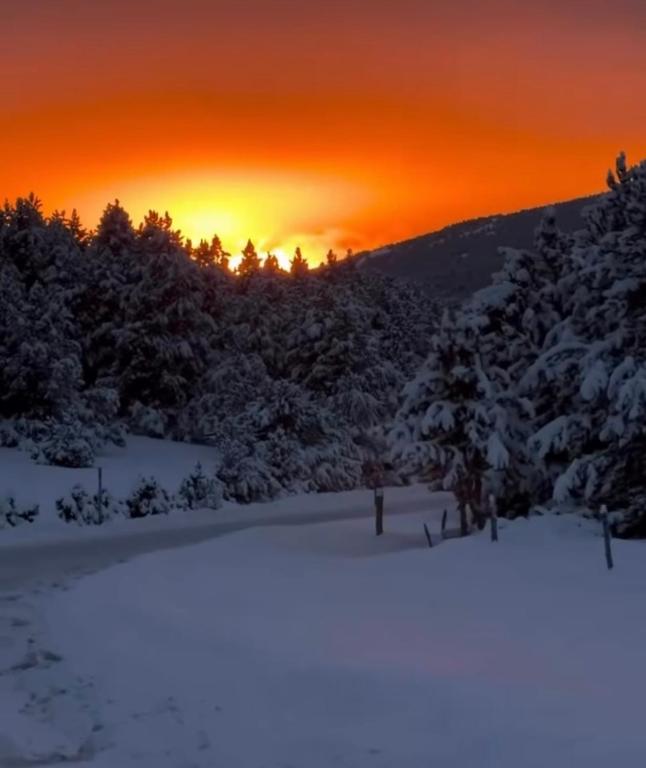 FONT-ROMEU T2 cabine calme et cosy - 2