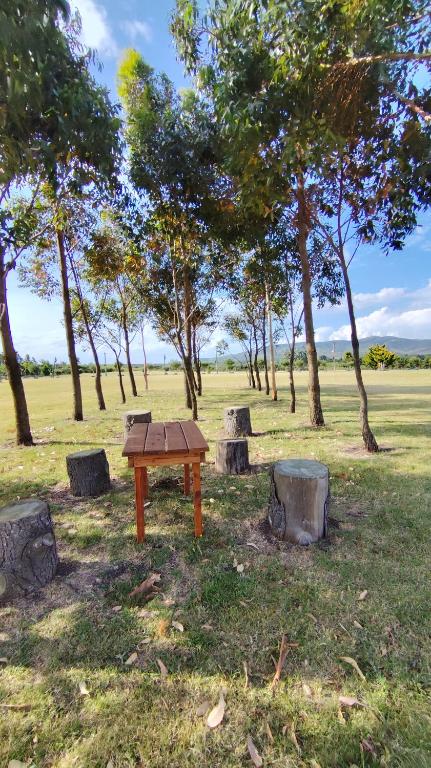 Soñar Despierto - 2