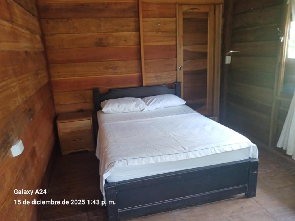 Habitacion con cama doble - 1
