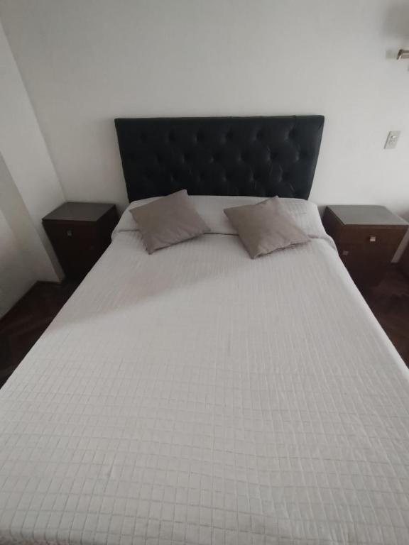 Central y Acogedor Departamento - 3