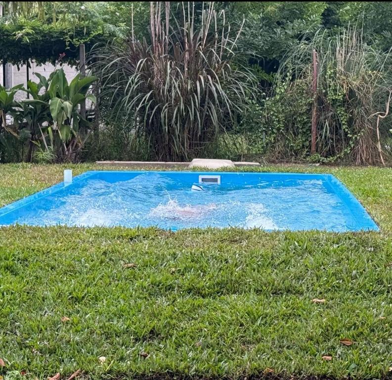 Los Laureles II - 1