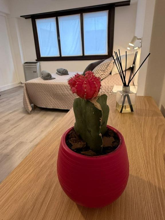 Comfortable apartment Aldrey - Guemes area - 3