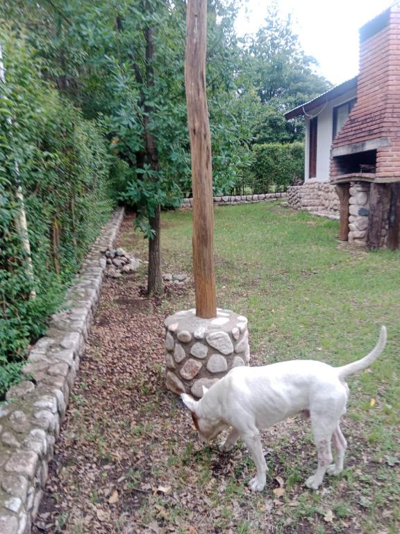 Casa Los Hornillos - 4