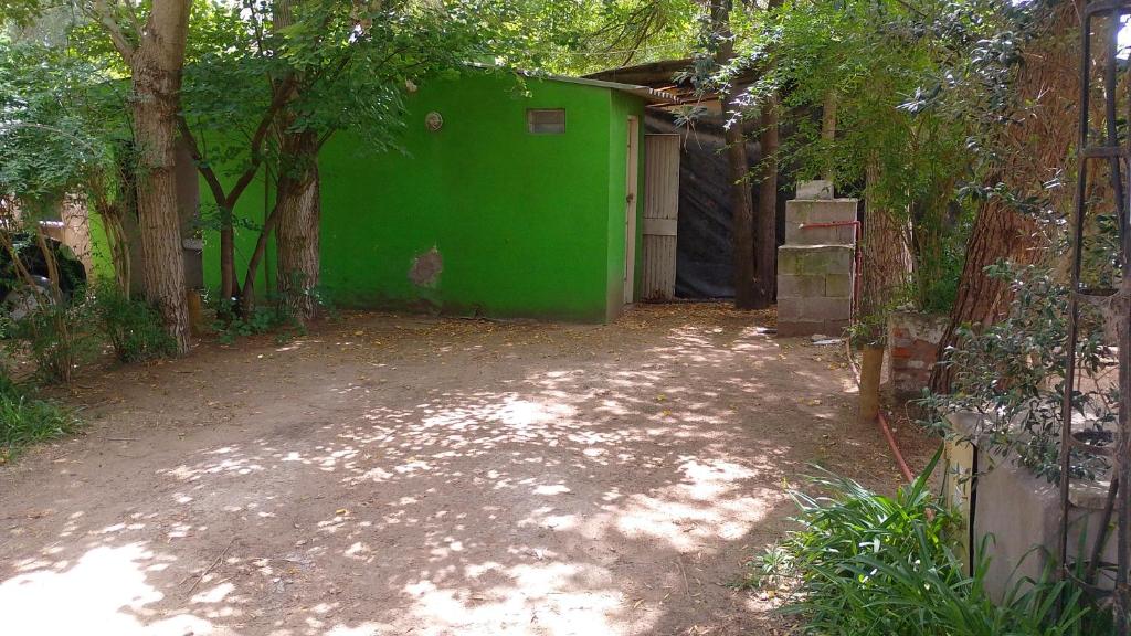 Camping y cabañas pehuen - 4