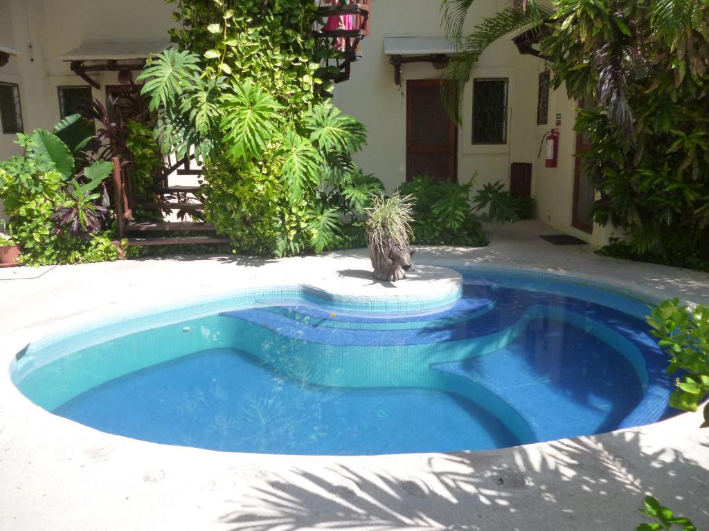 Apartment Las Brujas 8 - 3