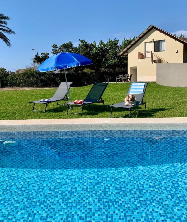 Cozy Home with Huge Lawn and Pool - WiFi - 1