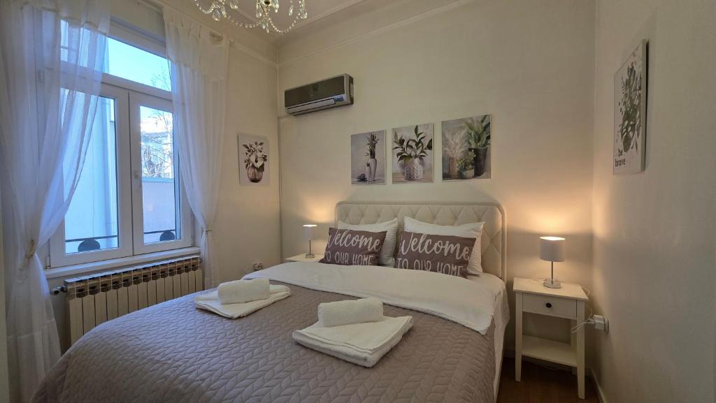 Vracar Luxury Apartment - 1