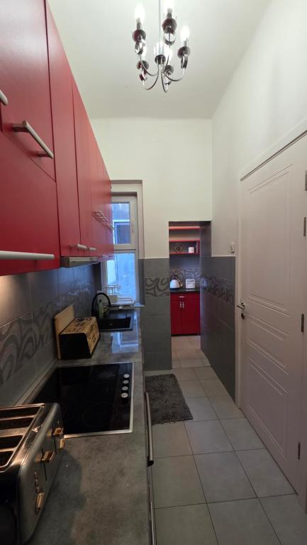 Vracar Luxury Apartment - 4