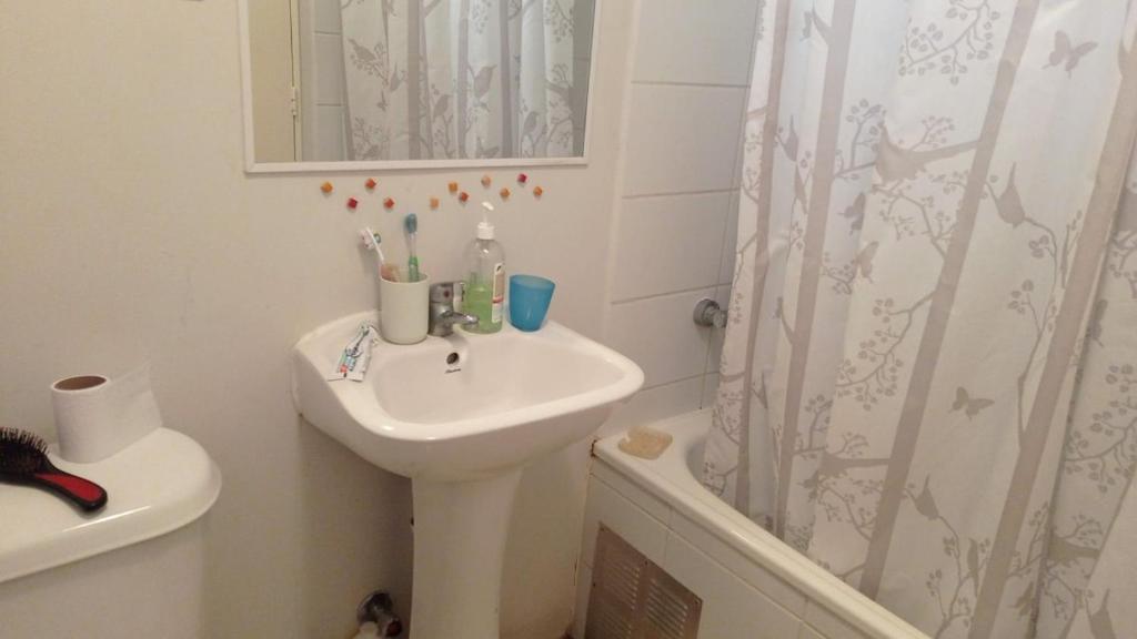 Spacious and cozy apartment, good location - 5
