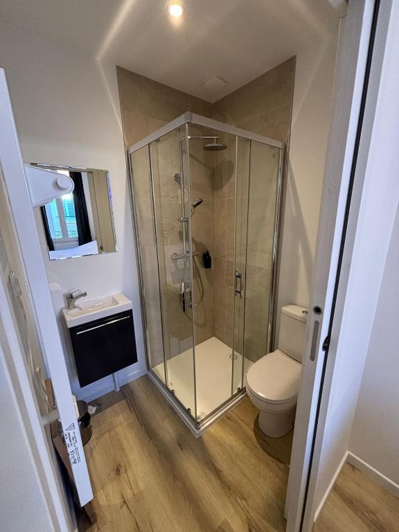 Maison de standing au centre de Reims 7 chambres avec 7 salles de bain, sauna, cour privée - 4