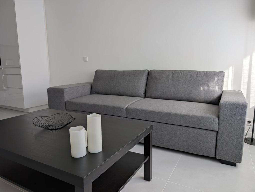Le Landel - Appartement 3 Pièces entièrement rénové, climatisé avec parking - 5
