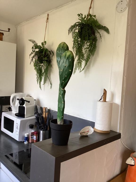 Studio avec grande terrasse et jardin privatif au Pyla - 4