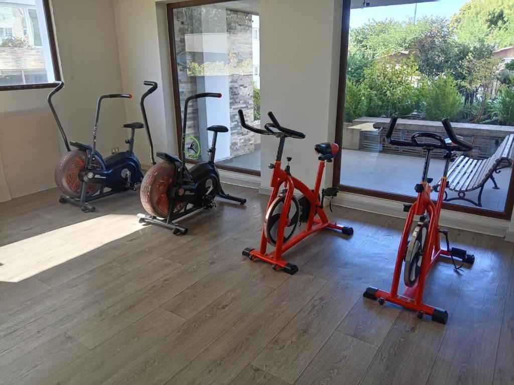 Apartment in Isla Teja, Valdivia - 5