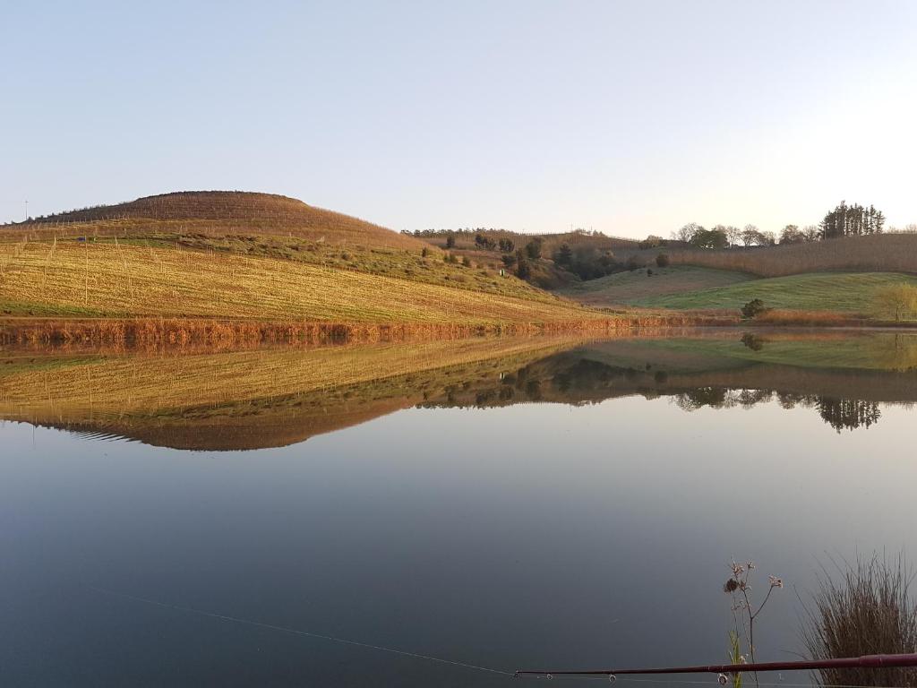 Paul Wallace Wines & Cottages photo