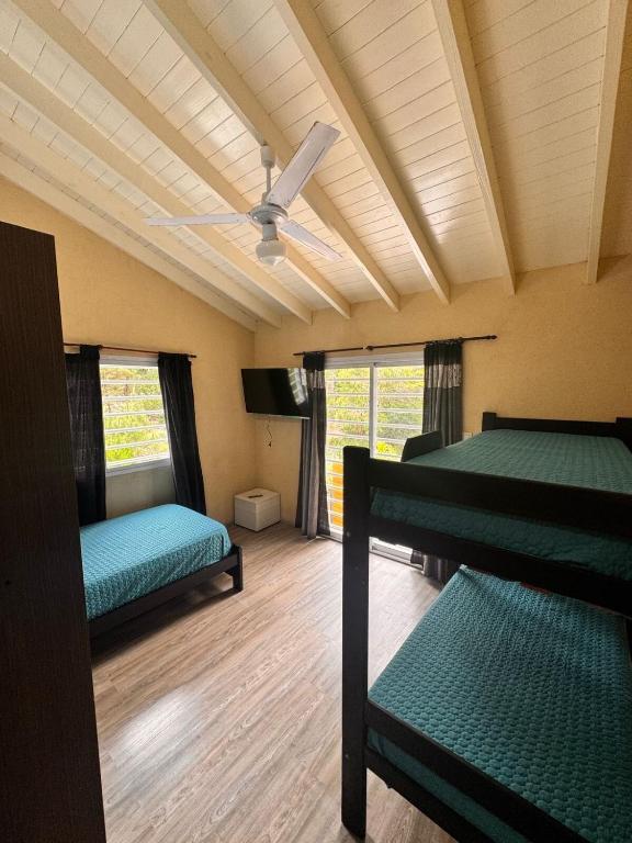 Cabaña en medio del bosque - 5