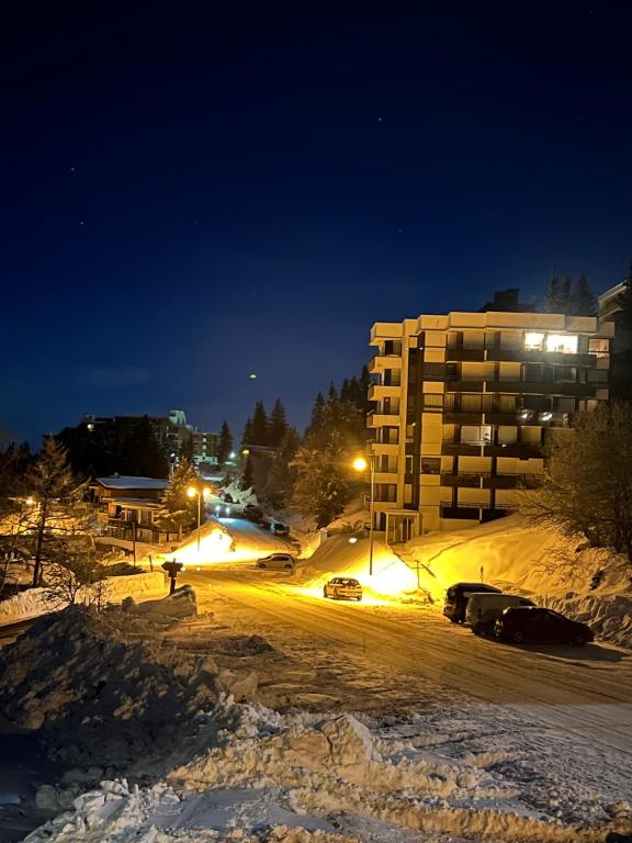 Chamrousse appartment 4 personnes La Lauzière - 5