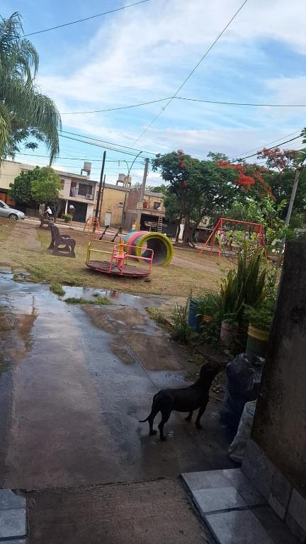 La Lomita - 4