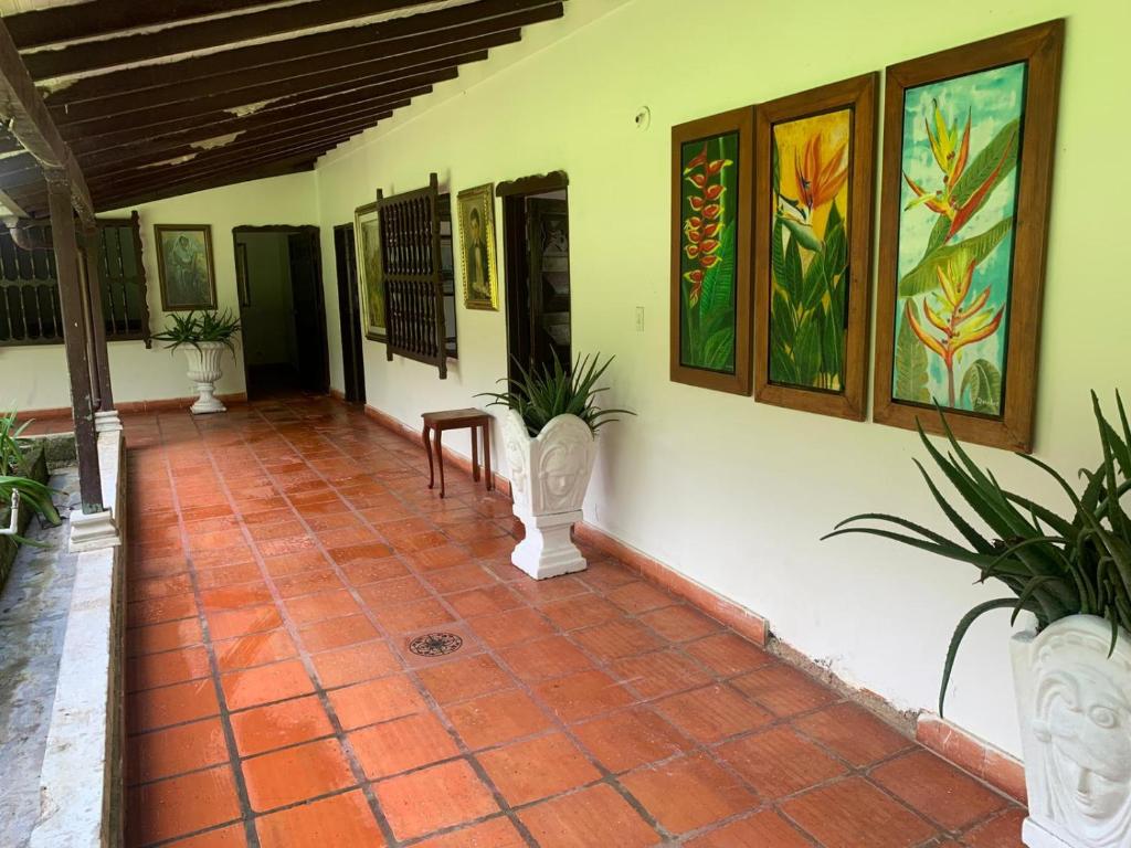 Finca Hotel El Juncal - 3
