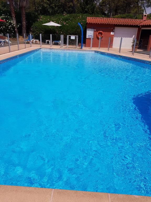 Studio Albatros Terrasse en RDJ Parking privé Piscine proche Golf, Tennis Grasse - 3