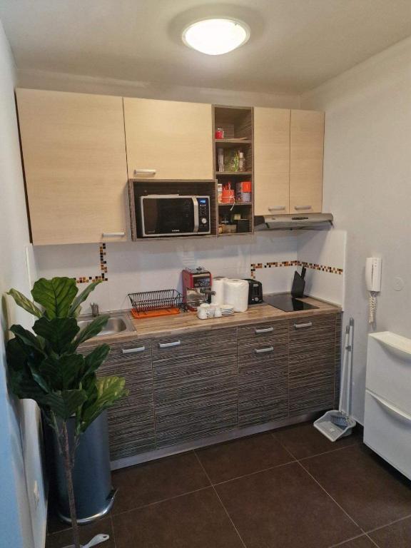 Apartman Kopaonik u Jolly kop - 3