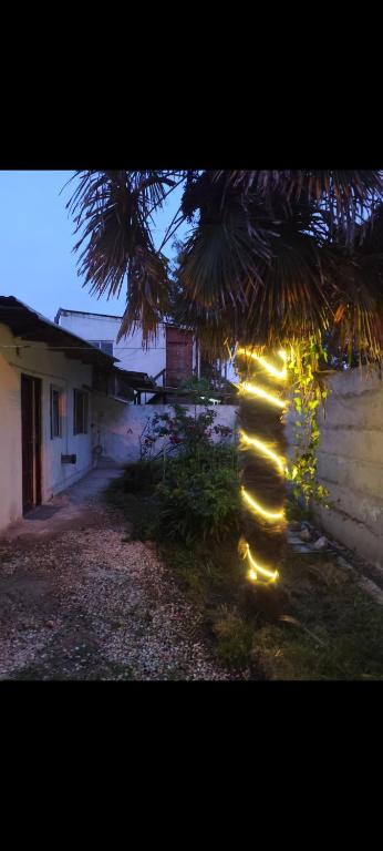 casa en las dalias - 5