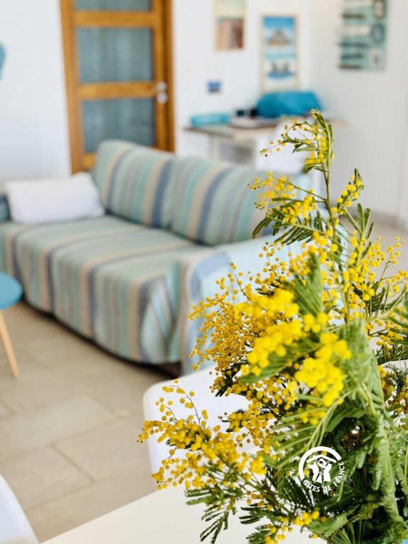 Le gîte turquoise - 4