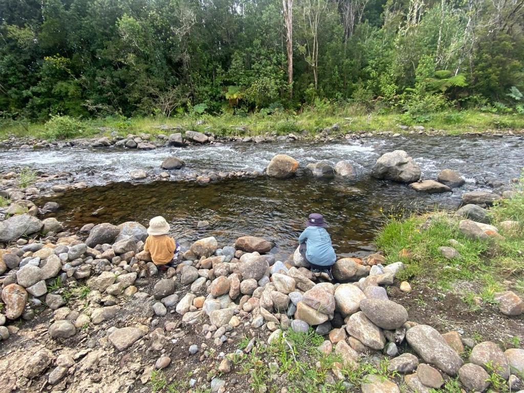 Cabaña Lago Chapo y parque Alerce Andino - 3