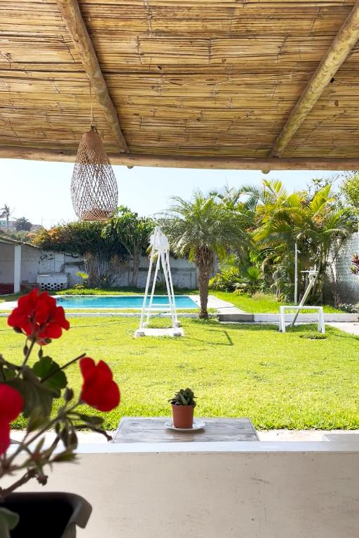 LAS PALMERAS HOSTAL - 1