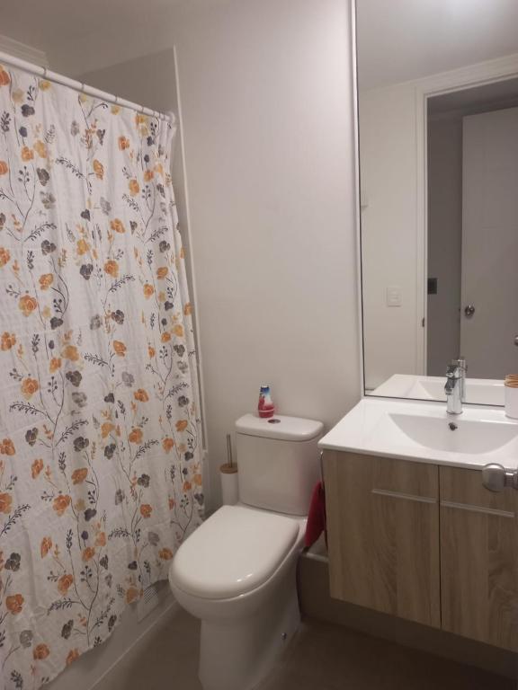 Arriendo Departamento punta puyai - 5