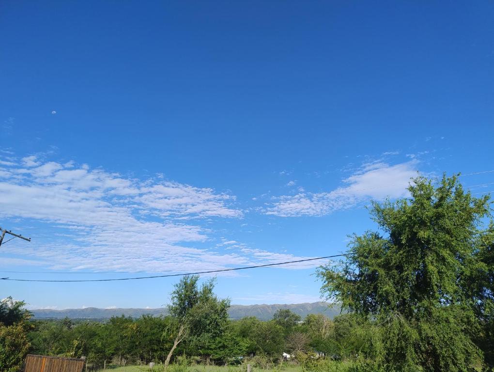 Las Calandrias II - 3