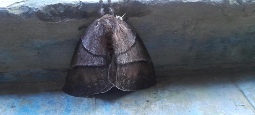 Posada del Mar Bahía Solano - 4