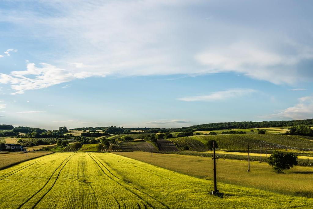 Gut Leithaberg photo