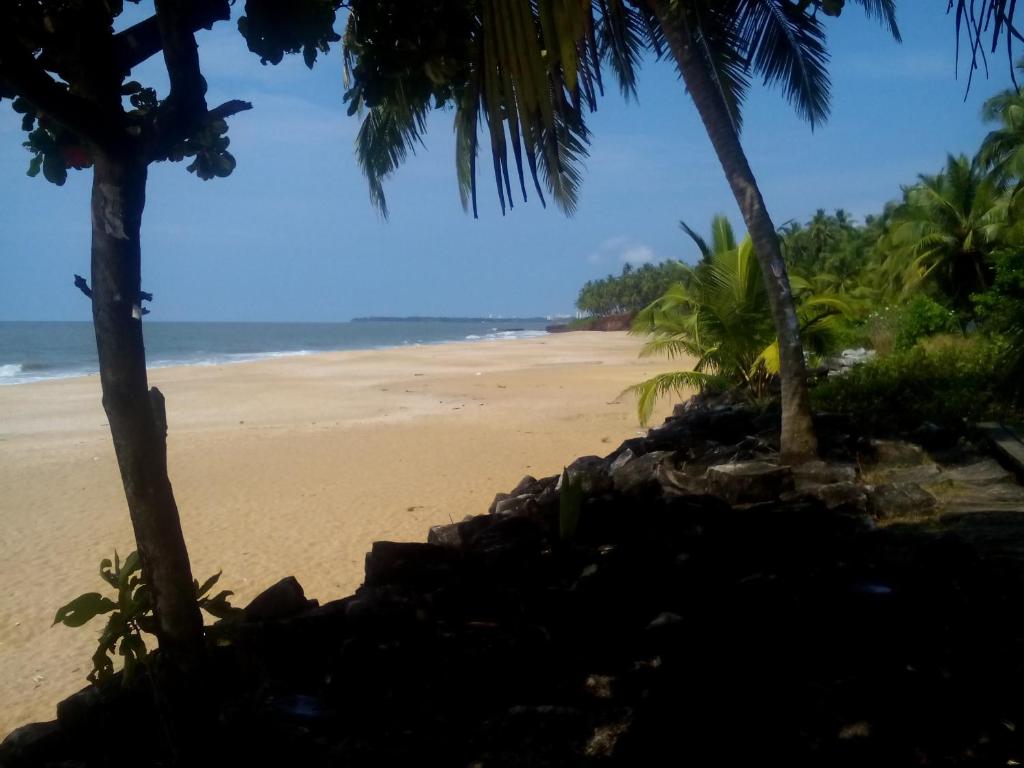 Ivorycoast'e photo