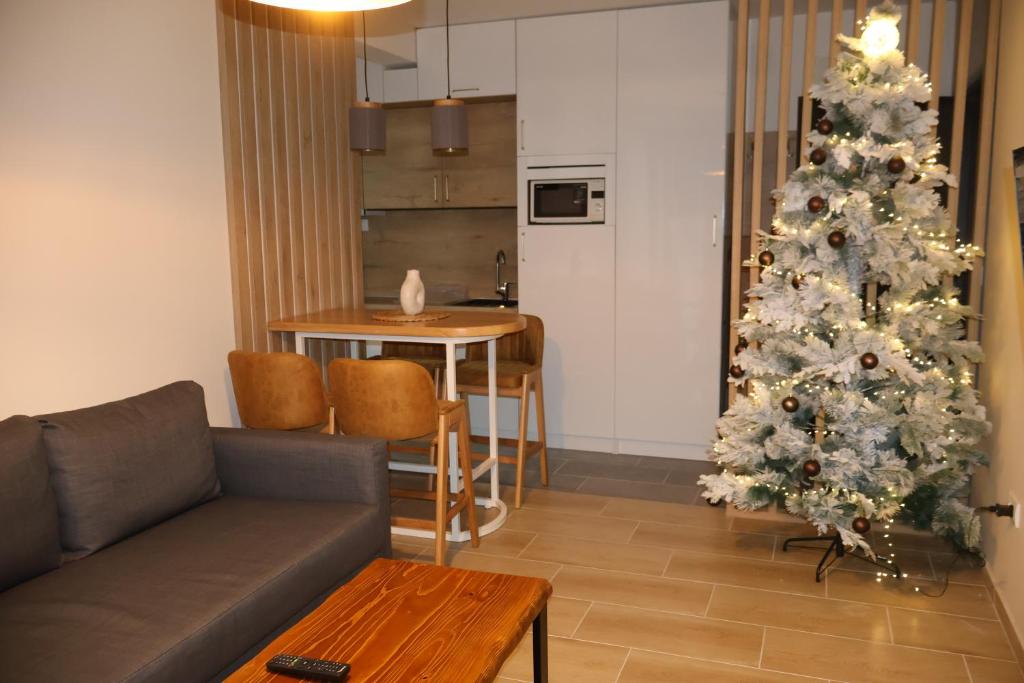 Apartmani Vidik,Treska - 3