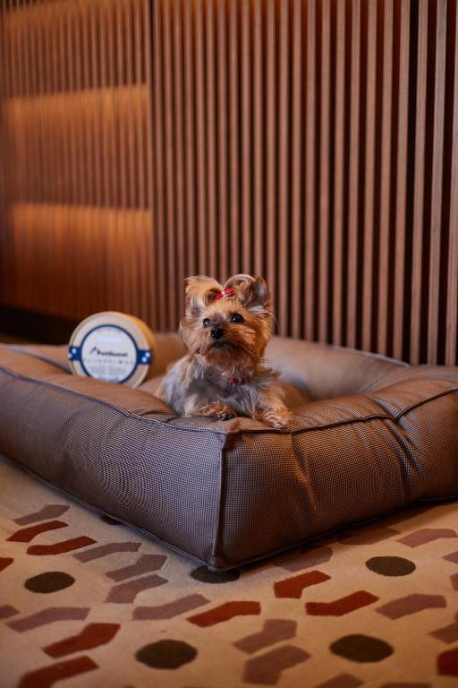 Grand Hotel Central, Small Luxury Hotels - 2