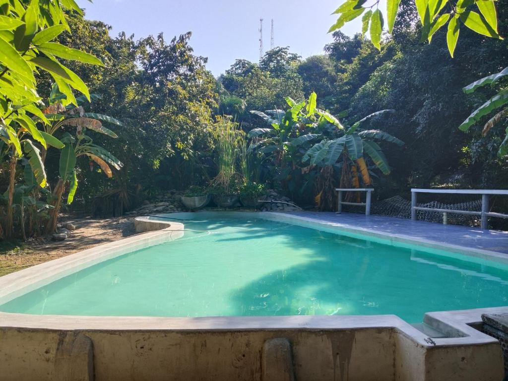 Finca Los Mangos - 2