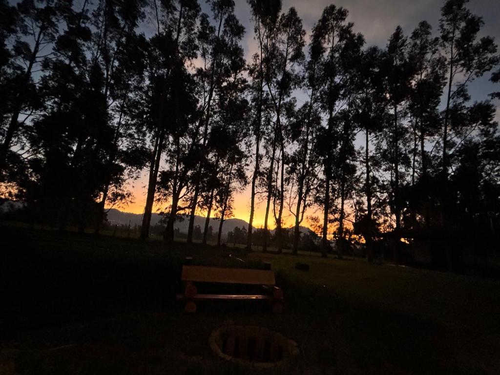Alojamiento en Cajamarca Cabañas a 10 min del centro - 4