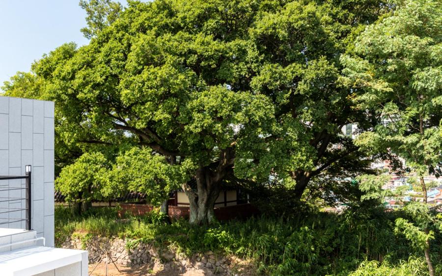 Surrounding environment