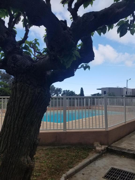 Panama, 300m de la plage, vue mer, piscine - 2