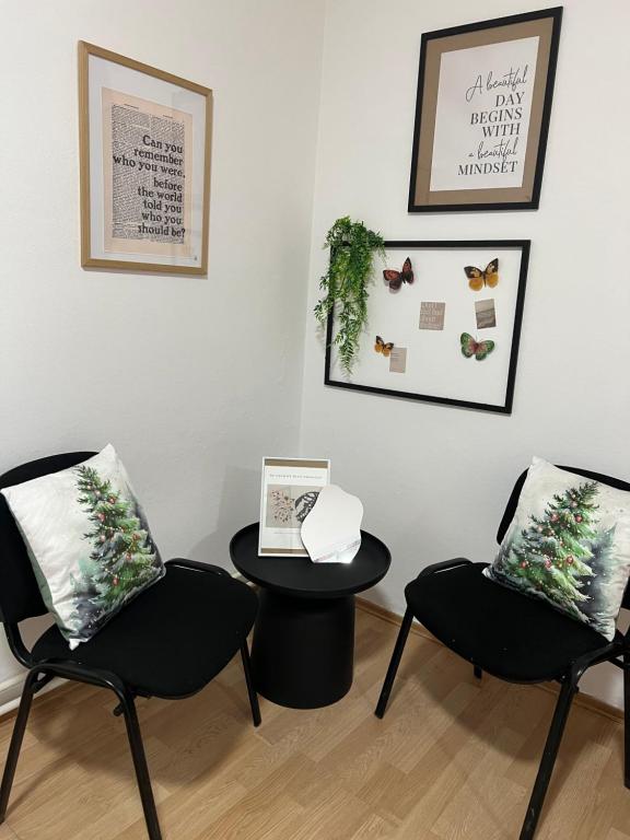 The Butterfly Apartment - 5
