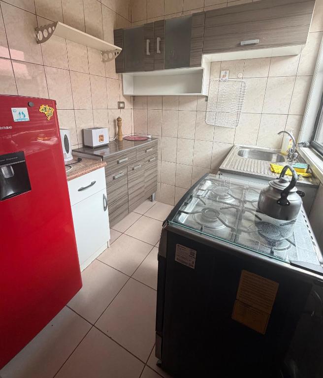 Apartamento Coyhaique - 3