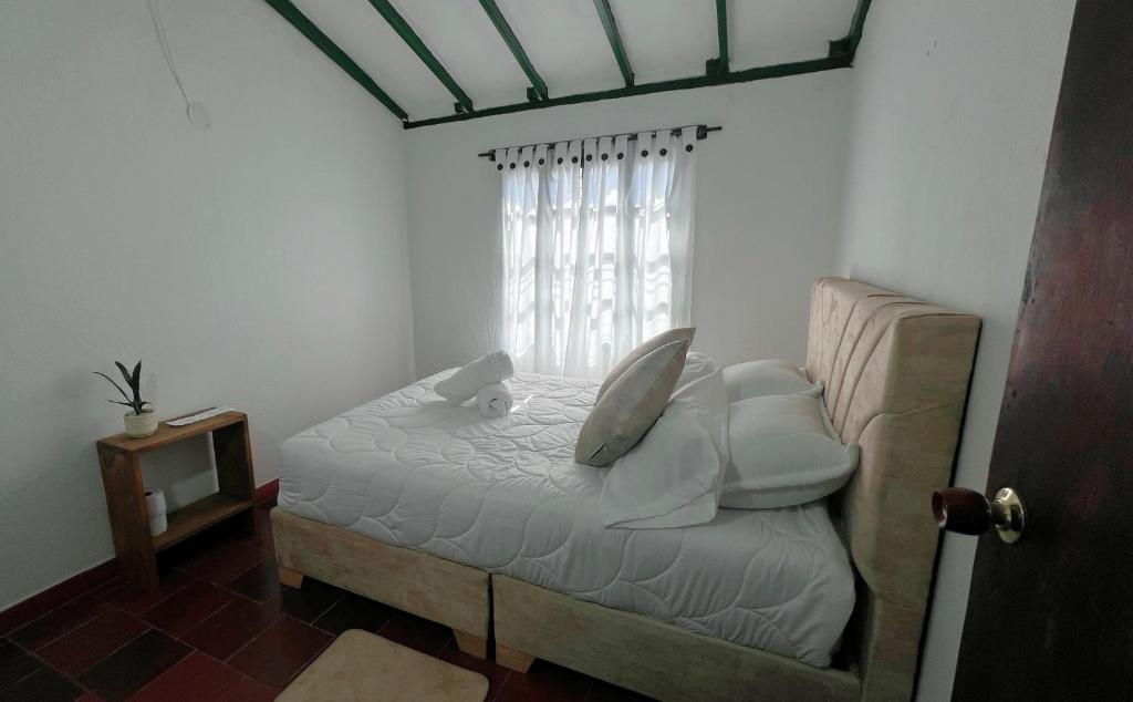 Alta Vibracion Casa Boutique - 5