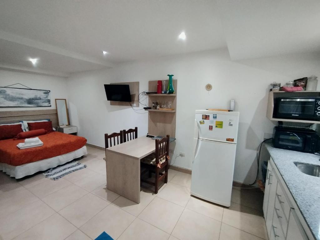 Refugio Sureño departamento completo centrico wifi - 2