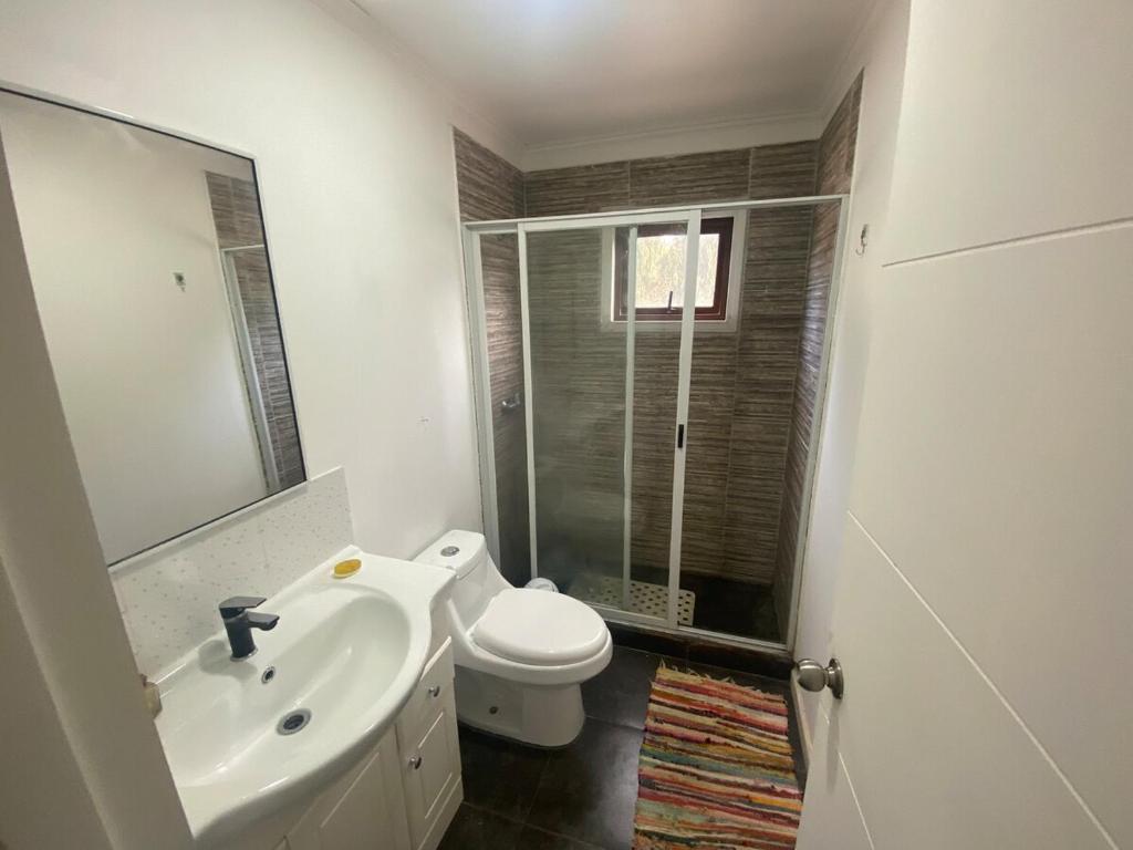 Great house in Punta de Lobos - 2