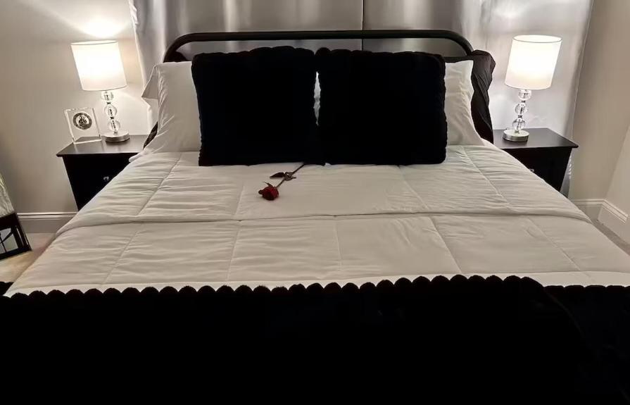 Ảnh 2