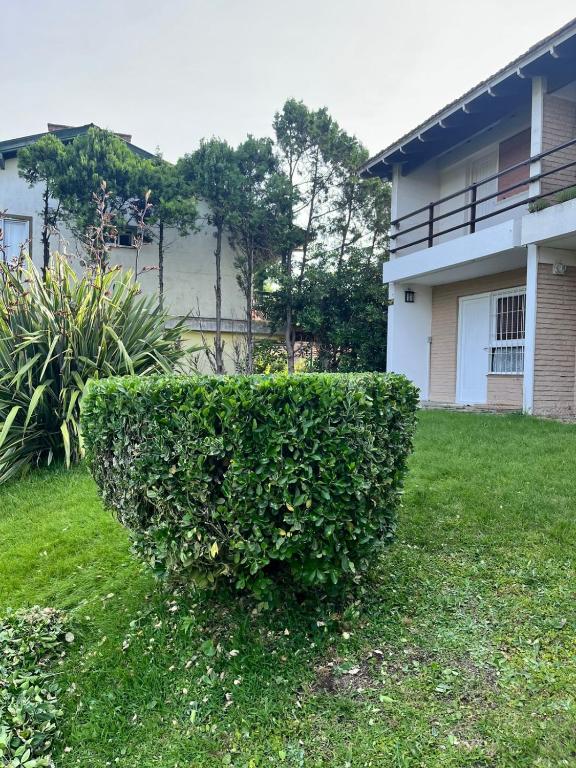Gesell mar y bosque - 4
