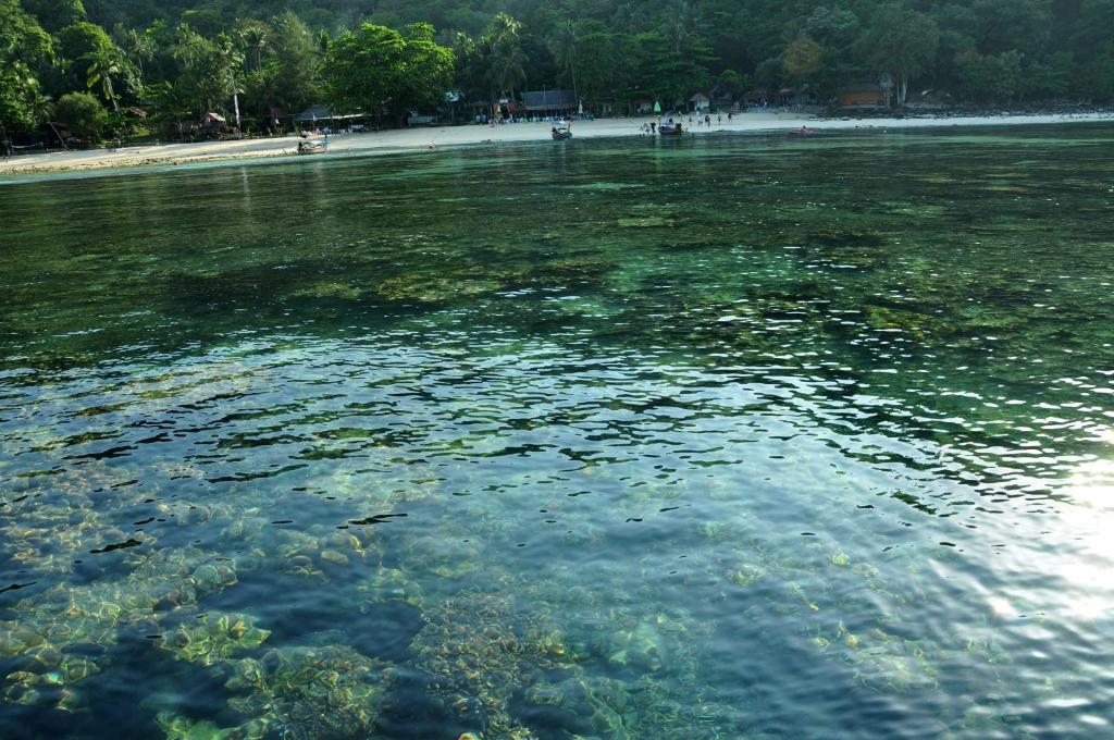 Esportes e Atividades